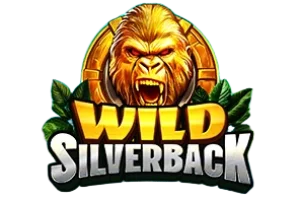Wild Silverback Wild Silverback